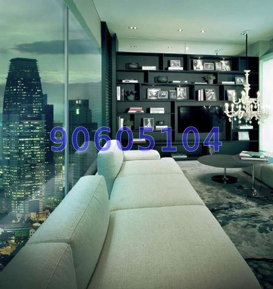 Skysuites@Anson (D2), Apartment #67674182